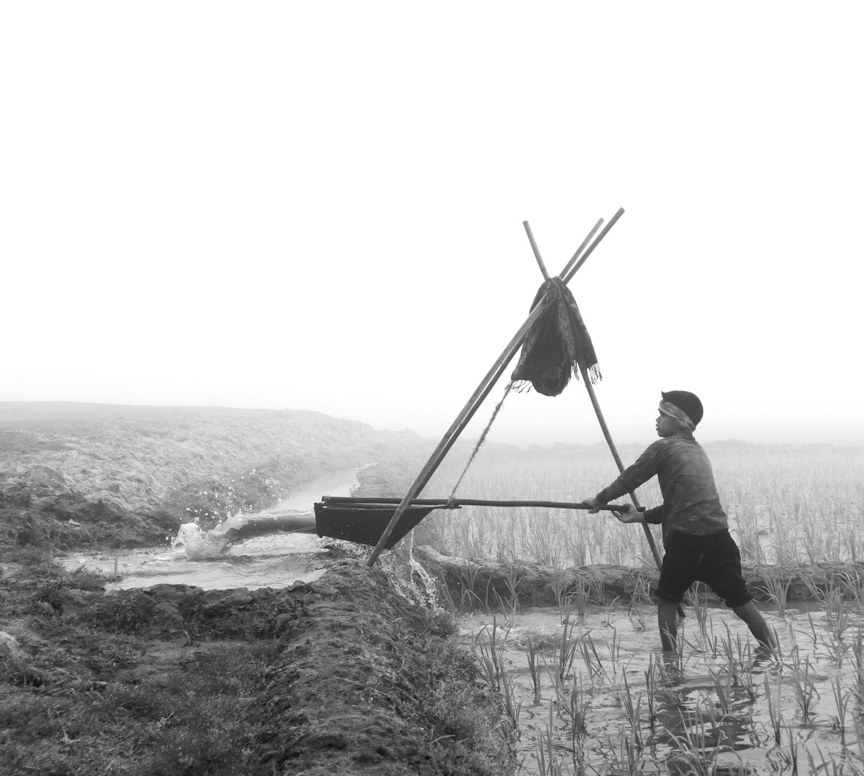 Farmer using solar pump